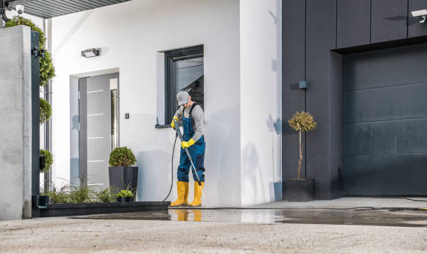 Boat and Dock Cleaning in Cedar Knolls, NJ